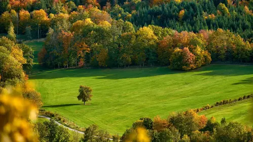Repas d'Automne